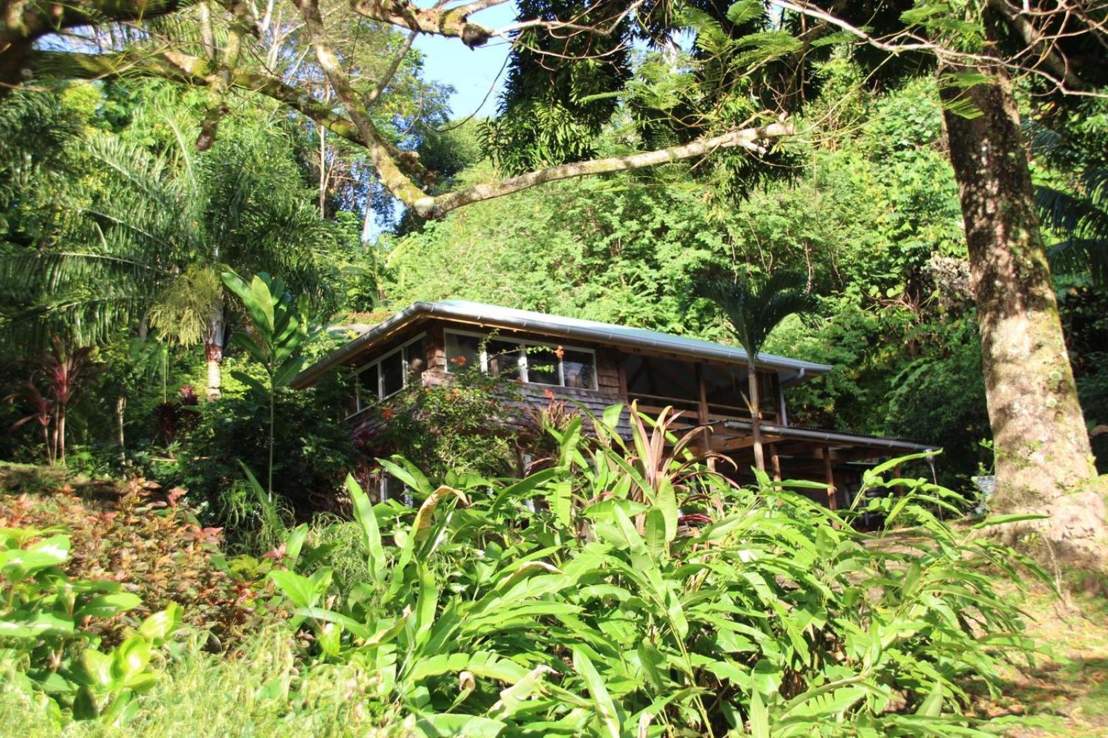 Huahine Manta Lodge Avec 4X4 Optionnel Haapu Exterior photo