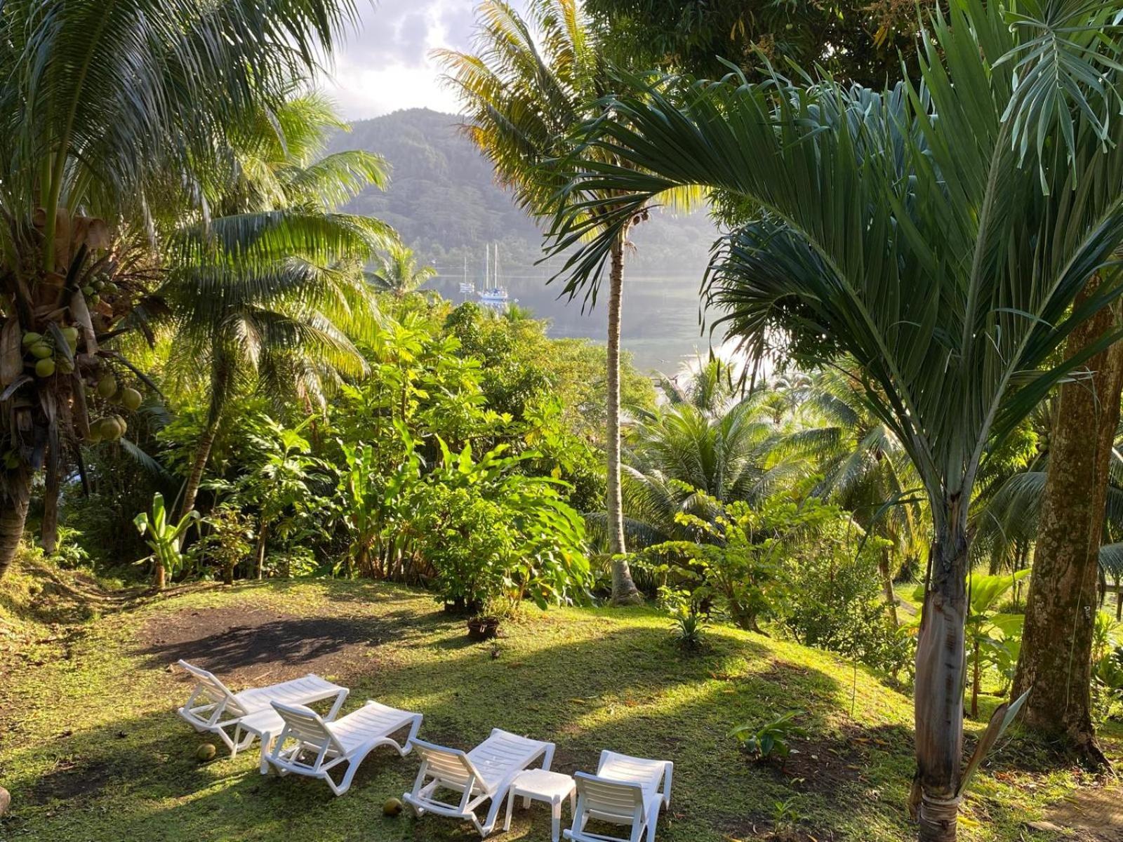 Huahine Manta Lodge Avec 4X4 Optionnel Haapu Exterior photo